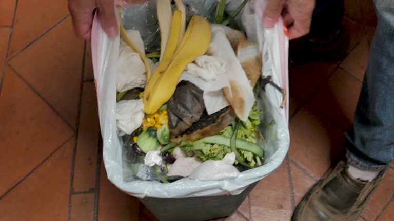 Best Recycling Services for Junk  in North Beach, MD